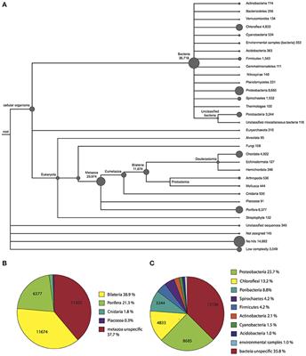 The Holo-Transcriptome of a Calcified Early Branching Metazoan